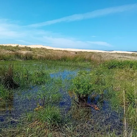 Hébergement de vacances A Pintega Dunas