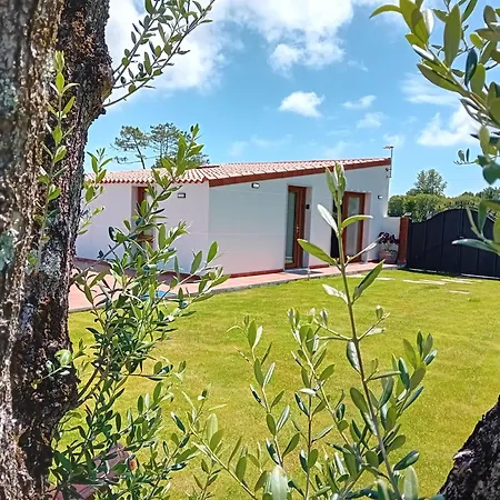 Holiday home A Pintega Dunas