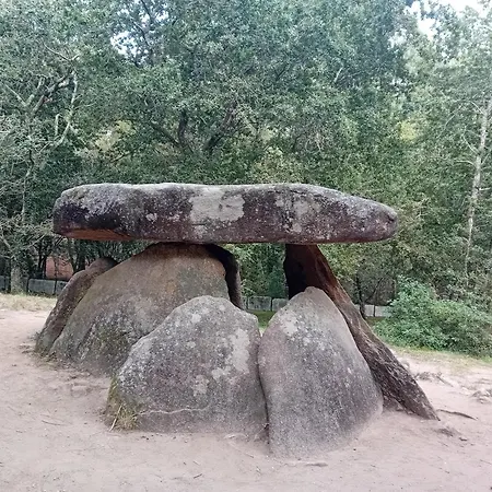 Hébergement de vacances A Pintega Dunas *