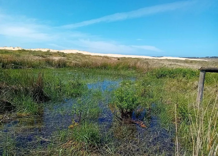 Σπίτι διακοπών A Pintega Dunas